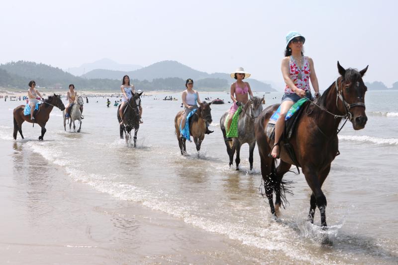 신안군 대광해수욕장