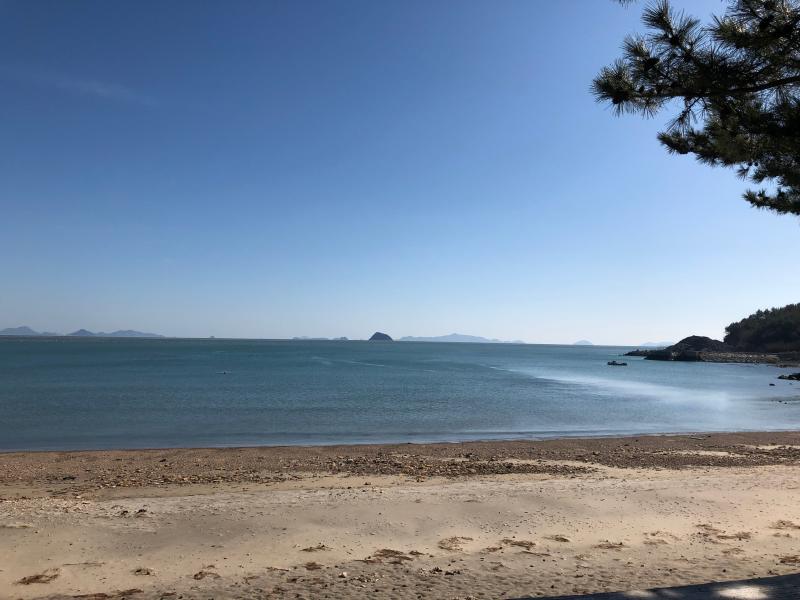 고흥군 금장해수욕장